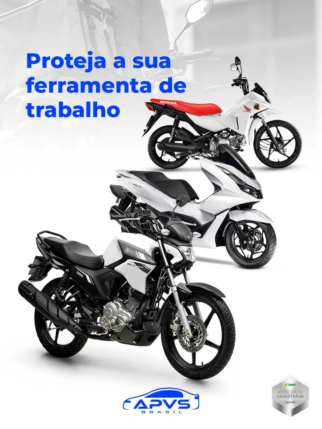 Atendimento especializado da Proteção Brasil