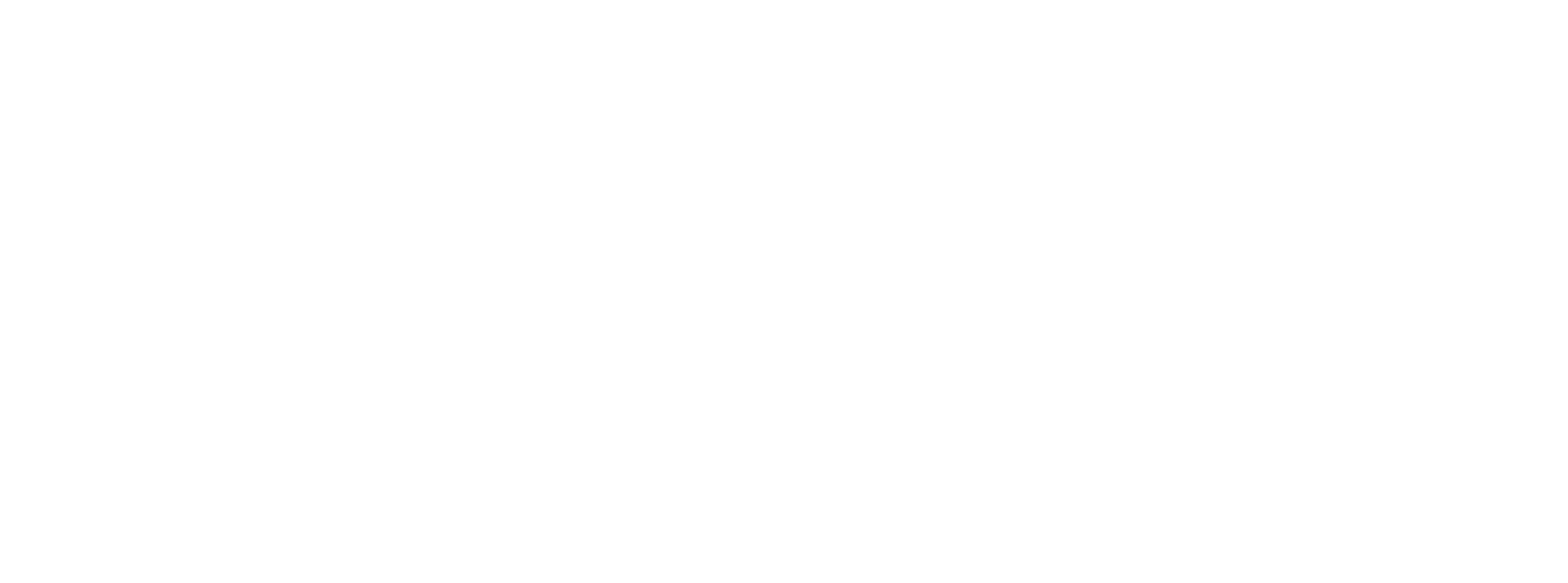 Selo APVS Brasil